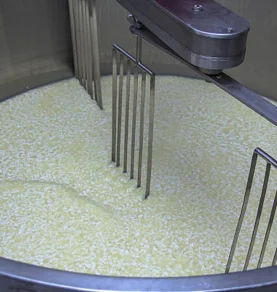 Aluminum Sulphate